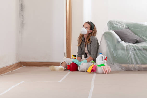 Reliable Mold Remediation contractor in Morristown, TN by WQB Mold Removal